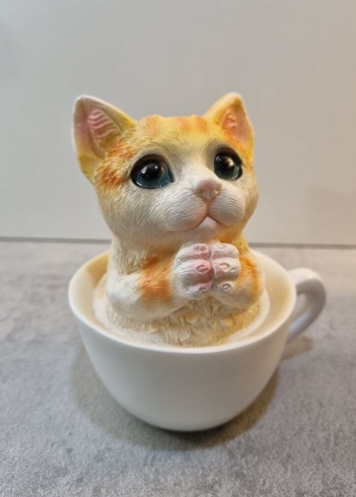 Fincanda Kedi Biblo Kumbara