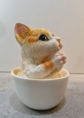 Fincanda Kedi Biblo Kumbara