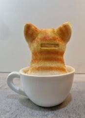 Fincanda Kedi Biblo Kumbara