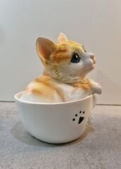 Fincanda Kedi Biblo Kumbara