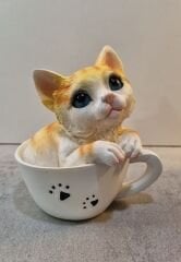 Fincanda Kedi Biblo Kumbara