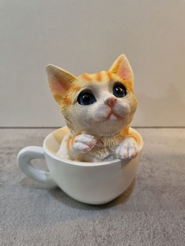 Fincanda Kedi Biblo Kumbara