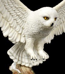 Baykuş Biblo (Hedwig)
