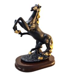 Şaha Kalkan At Biblo