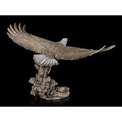 Veronese Kartal Heykeli Biblo