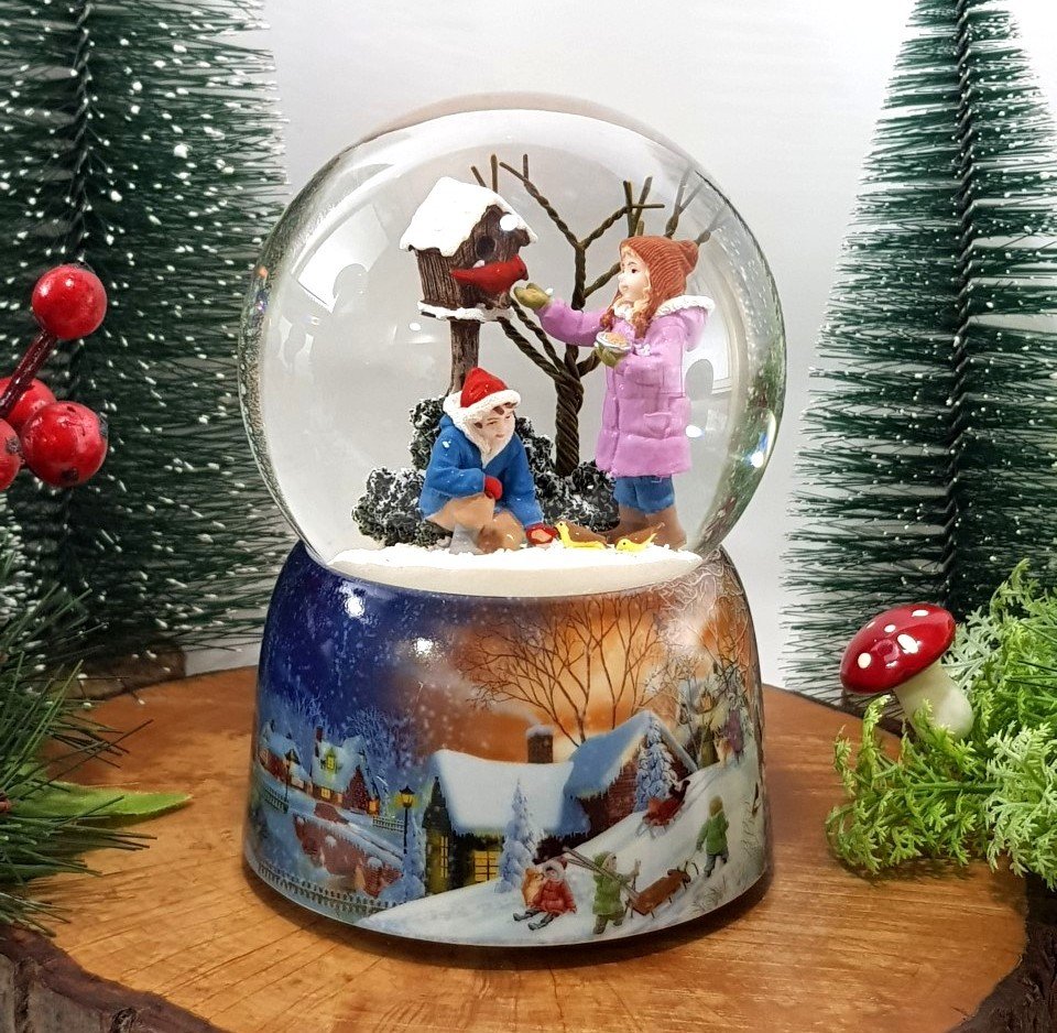 Kuşlarla Beraber Kar Küresi