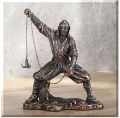 Veronese Ninja Biblo