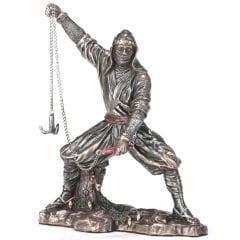 Veronese Ninja Biblo