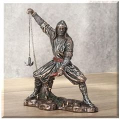Veronese Ninja Biblo
