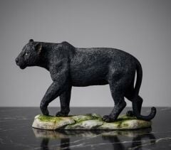 Jaguar Biblo