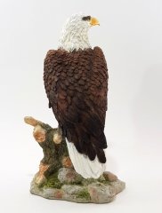 Kartal Biblo