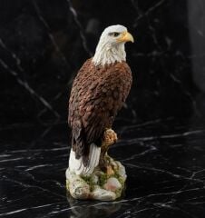 Kartal Biblo