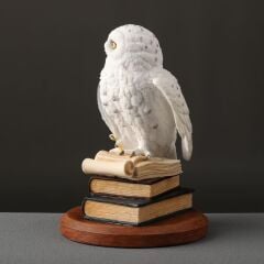 Veronese Baykuş Biblo (Hedwig)