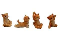Yoga Yapan Kedi Biblolar 4'lü Set