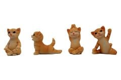 Yoga Yapan Kedi Biblolar 4'lü Set