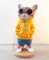 Gözlüklü Kedi Biblo