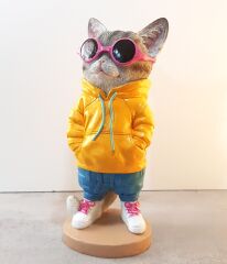 Gözlüklü Kedi Biblo