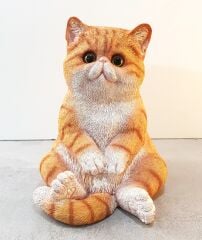 Oturan Sarman Kedi Biblo