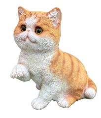 Oyuncu Sarman Kedi Biblo