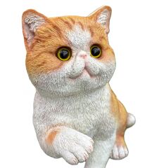 Oyuncu Sarman Kedi Biblo